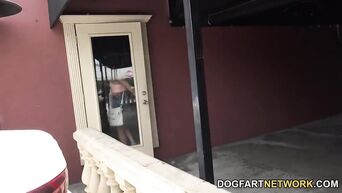Looked porn and got black dick