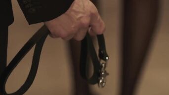 Bondage Group Sex with Ariana Marie & Sofi Ryan