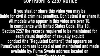 Elite porn star Puma Swede in action