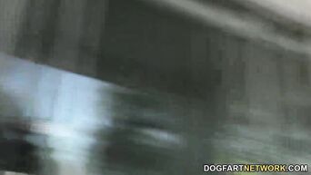 White macho fucks two juicy black women