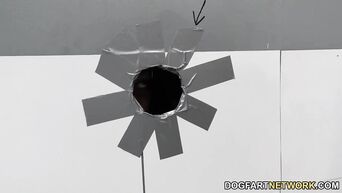 Black dick from wall hole for Jaye Summers