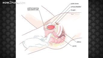 Prostate massage lesson