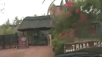 African Porn Safari 2019