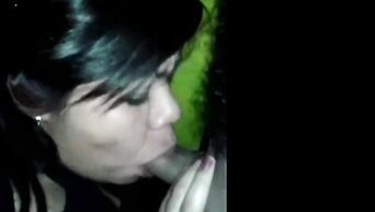 Cocaine slut sucks my dick for $ 50