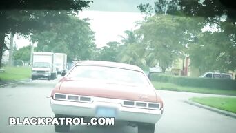 BLACK PATROL - Pull Over, That Ass Too Black!