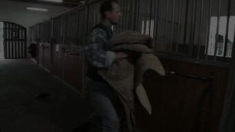 Tera Joy riding horse on farm