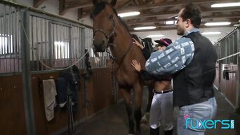 Tera Joy riding horse on farm