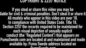 Busty Blonde Puma Swede Fucked & Cummed On By A Hard Cock!