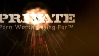 private vol 3
