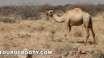 TOUR OF BOOTY - American Soldiers In The Middle East Shopping For Pussy