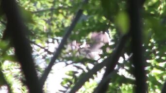 Public Russian Beach Couple Sex Hidden Cam Voyeur