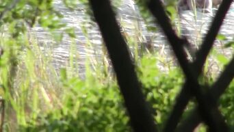 Public Russian Beach Couple Sex Hidden Cam Voyeur