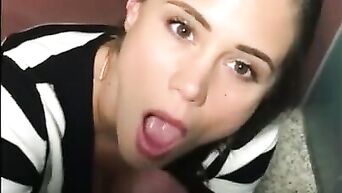A passionate brunette sucks cock on her knees