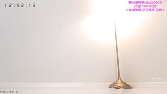 Virtual sex through Skype with busty Japanese girl