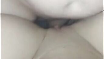 Real amateur wife loves big dick - tube