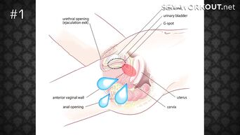Slippery vaginal masturbation lesson for gentle brunette