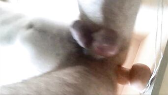 Young hairy gay inserts dildo in ass and jerks to get orgasm