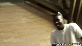 Best black gangbang for cheap slut Brooklyn Chase