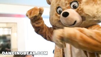 Animator in image of bear gives all wishing girls to suck cock