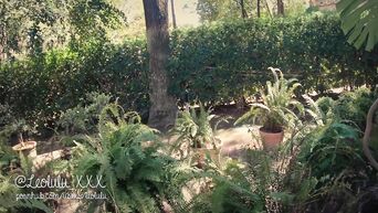 Amateur couple fucks in botanical garden