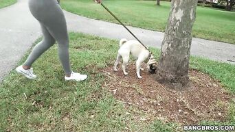 Anal spanking for Cuban slut Diamond Kitty