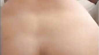 White pornstars with best tits tame black males